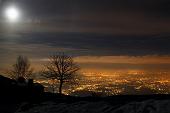 20_Alberi spogli e città